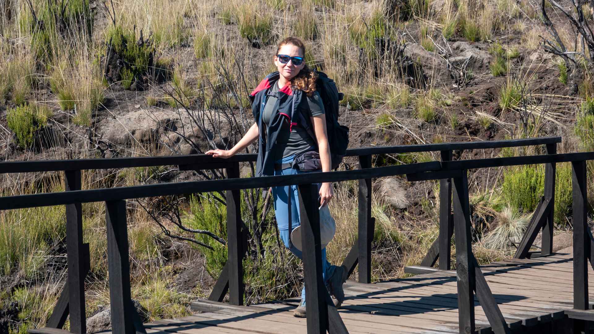 Read more about the article 7 Days Kilimanjaro Lemosho Route