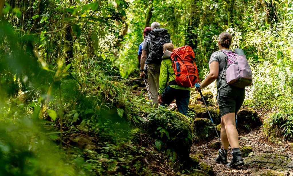machame route trekking