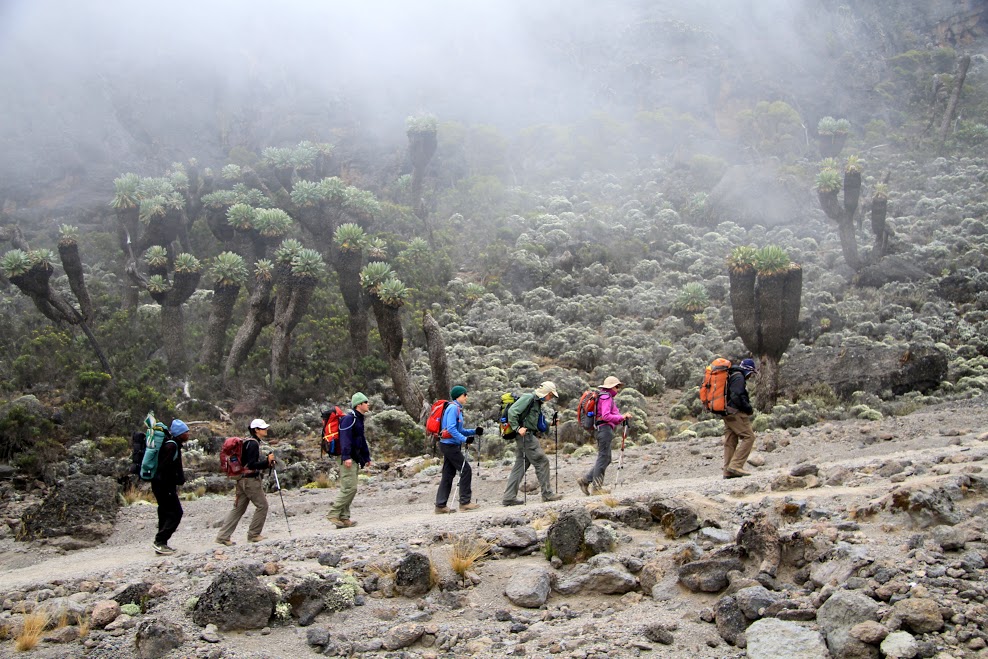 Read more about the article 9 Days Kilimanjaro Northern Route