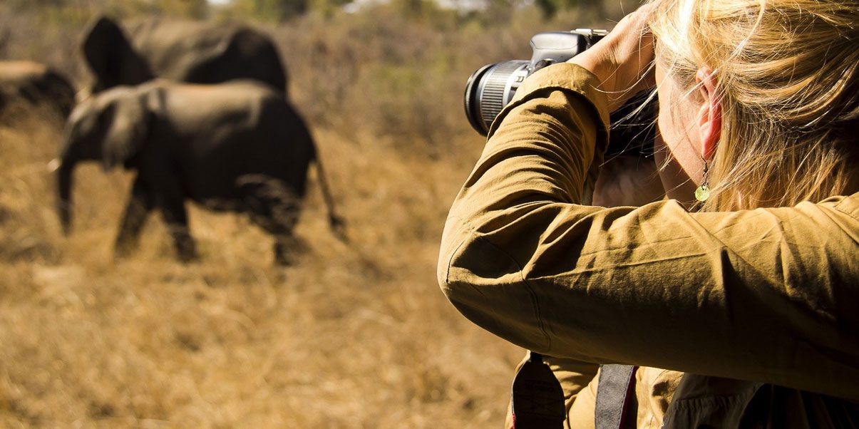 Read more about the article 12 Days Tanzania Photographic Safari